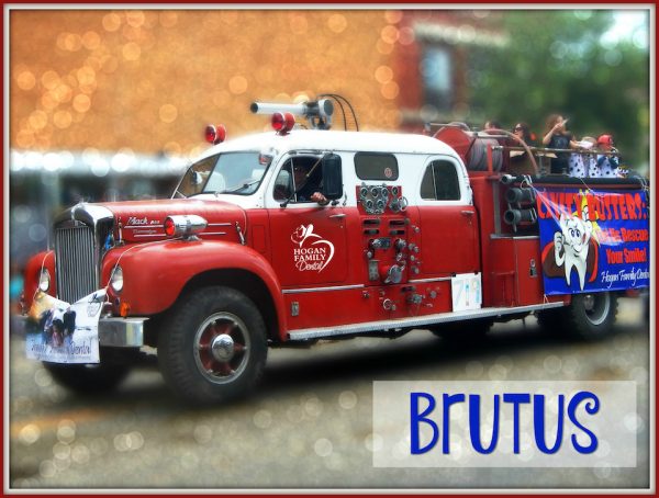 Brutus